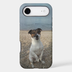 Capo von Oppenheim, Jack Russell Terrier Dog
