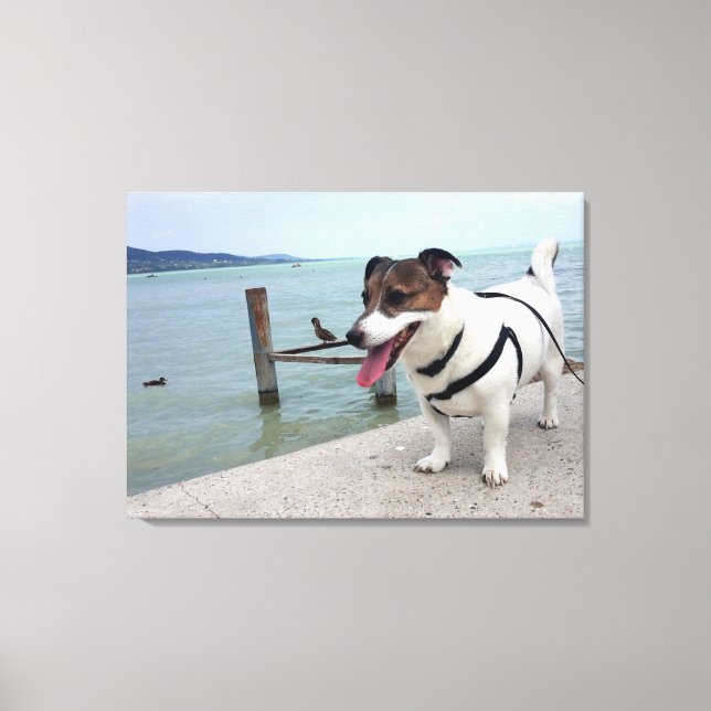 Capo von Oppenheim, Jack Russell Terrier Dog Canvas Print (Front)