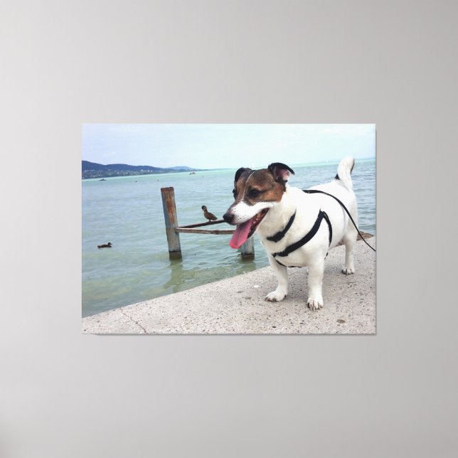 Capo von Oppenheim, Jack Russell Terrier Dog Canvas Print (Front)