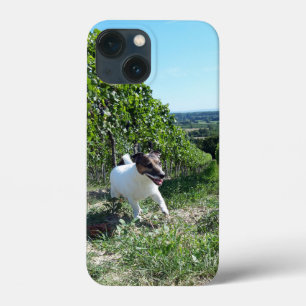 Capo von Oppenheim Jack Russell Terrier, Dog iPhone 13 Mini Case