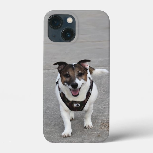 Capo von Oppenheim, Jack Russell Terrier Dog Case-Mate iPhone Case (Back)