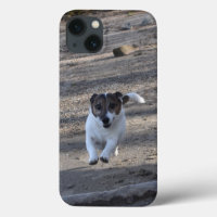 Capo von Oppenheim, Jack Russell Terrier Dog
