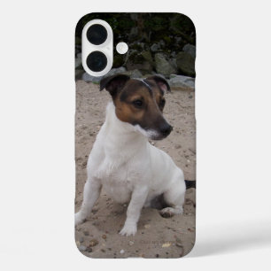 Capo von Oppenheim Jack Russell Terrier, Dog iPhone 16 Plus Case