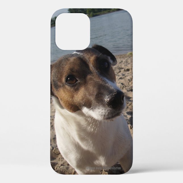 Capo von Oppenheim Jack Russell Terrier, Dog Case-Mate iPhone Case (Back)