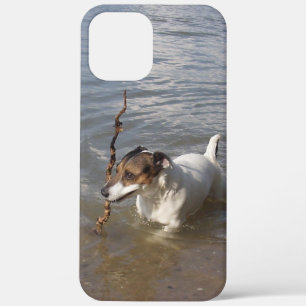 Capo von Oppenheim Jack Russell Terrier, Dog iPhone 12 Pro Max Case
