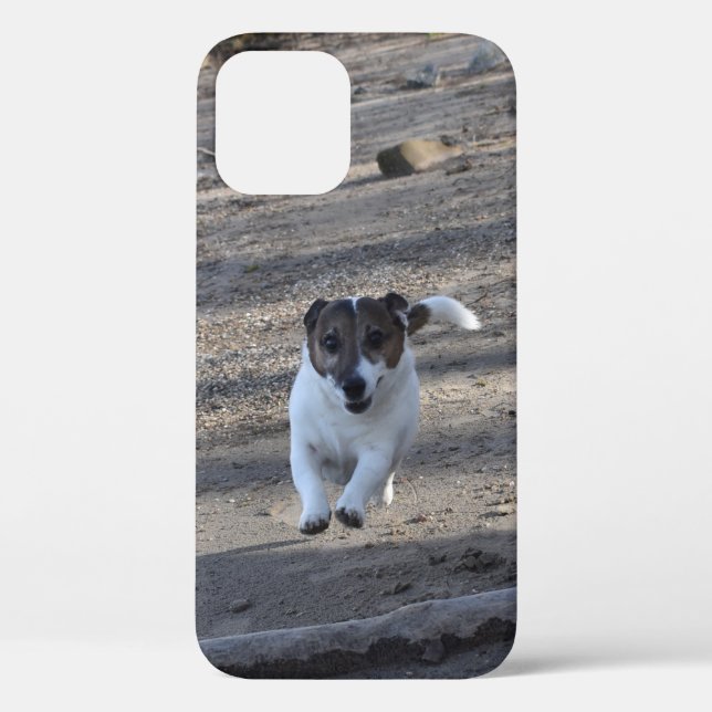 Capo von Oppenheim, Jack Russell Terrier Dog Case-Mate iPhone Case (Back)