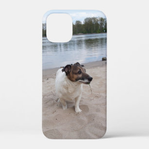 Capo von Oppenheim, Jack Russell Terrier Dog iPhone 12 Mini Case