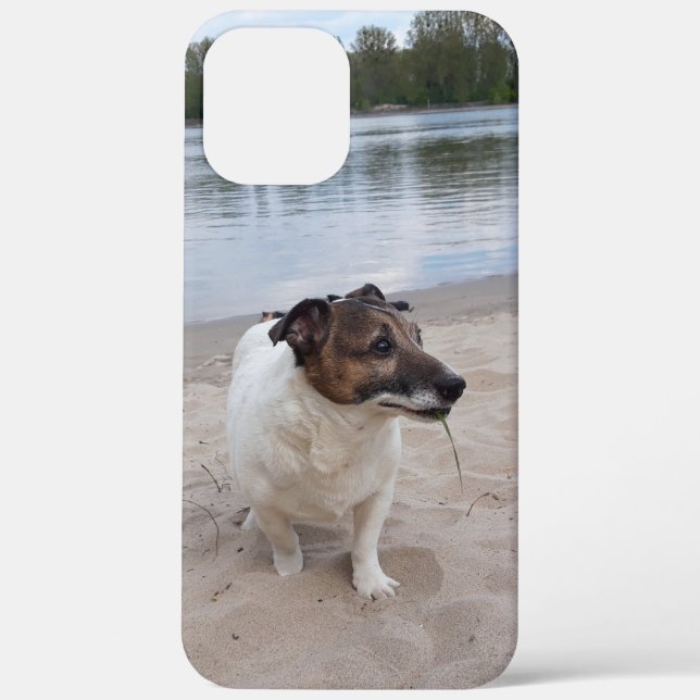 Capo von Oppenheim, Jack Russell Terrier Dog Case-Mate iPhone Case (Back)
