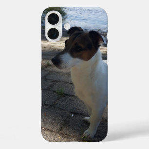 Capo von Oppenheim Jack Russell Terrier, Dog iPhone 16 Plus Case