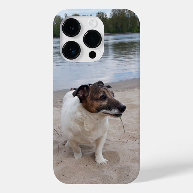 Capo von Oppenheim, Jack Russell Terrier Dog Case-Mate iPhone Case (Back)