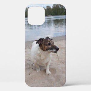 Capo von Oppenheim, Jack Russell Terrier Dog iPhone 12 Case
