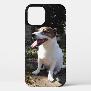 Capo von Oppenheim Jack Russell Terrier, Dog iPhone 12 Case