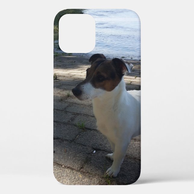 Capo von Oppenheim, Jack Russell Terrier Dog Case-Mate iPhone Case (Back)