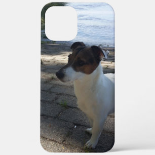 Capo von Oppenheim, Jack Russell Terrier Dog iPhone 12 Pro Max Case