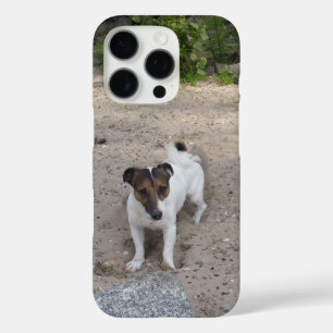 Capo von Oppenheim Jack Russell Terrier, Dog iPhone 16 Pro Case