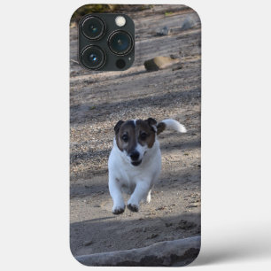 Capo von Oppenheim, Jack Russell Terrier Dog iPhone 13 Pro Max Case
