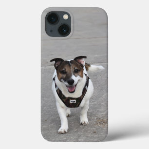 Capo von Oppenheim, Jack Russell Terrier Dog iPhone 13 Case