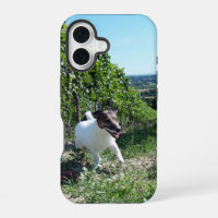 Capo von Oppenheim Jack Russell Terrier, Dog