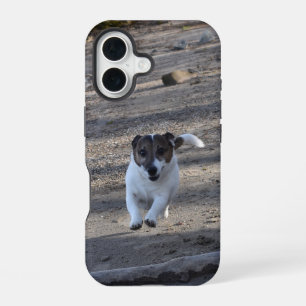 Capo von Oppenheim, Jack Russell Terrier Dog iPhone 16 Case