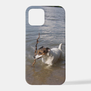 Capo von Oppenheim, Jack Russell Terrier Dog iPhone 12 Pro Case