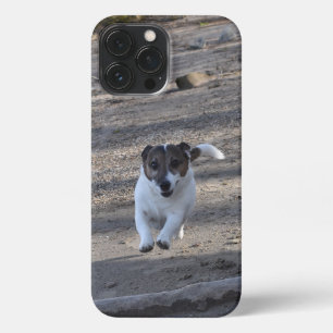 Capo von Oppenheim, Jack Russell Terrier Dog iPhone 13 Pro Max Case