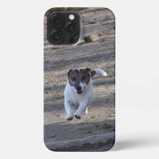 Capo von Oppenheim, Jack Russell Terrier Dog iPhone Case (Back)