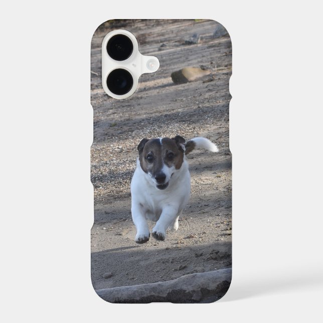 Capo von Oppenheim, Jack Russell Terrier Dog iPhone Case (Back)
