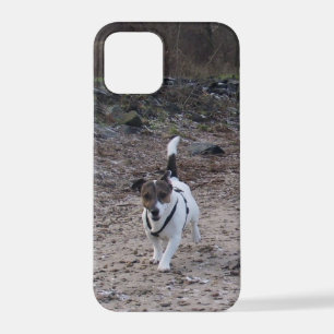 Capo von Oppenheim, Jack Russell Terrier Dog iPhone 12 Pro Case