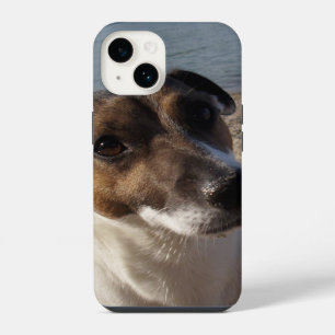 Capo von Oppenheim Jack Russell Terrier, Dog iPhone 14 Case