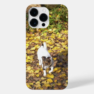 Capo von Oppenheim, Jack Russell Terrier Dog iPhone 14 Pro Max Case