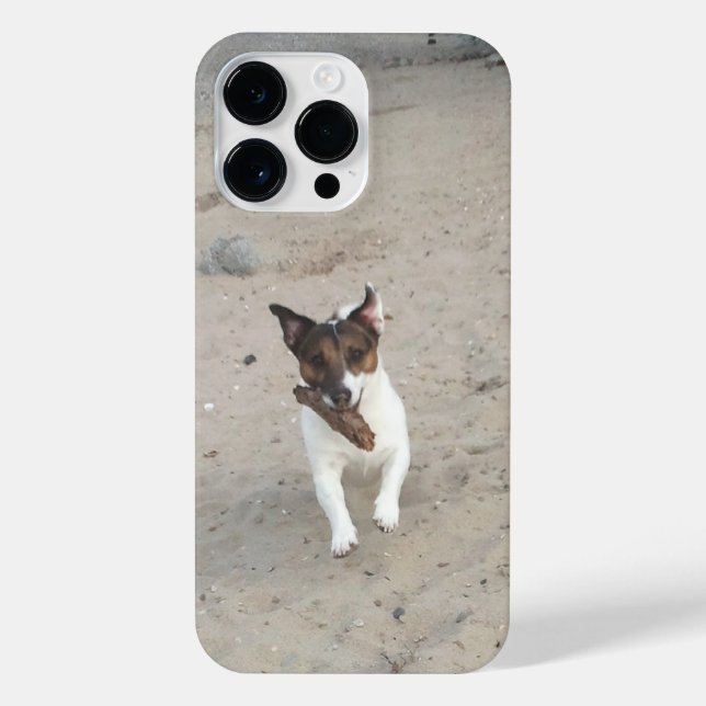 Capo von Oppenheim, Jack Russell Terrier Dog iPhone Case (Back)