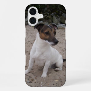 Capo von Oppenheim Jack Russell Terrier, Dog iPhone 16 Plus Case