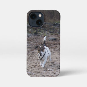 Capo von Oppenheim, Jack Russell Terrier Dog iPhone 13 Mini Case