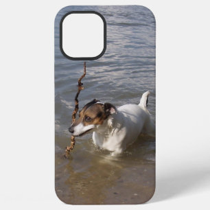 Capo von Oppenheim Jack Russell Terrier, Dog iPhone 12 Pro Max Case