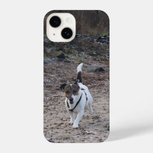 Capo von Oppenheim, Jack Russell Terrier Dog iPhone 14 Case