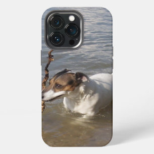 Capo von Oppenheim Jack Russell Terrier, Dog iPhone 13 Pro Case