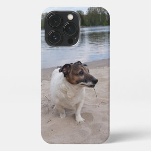 Capo von Oppenheim, Jack Russell Terrier Dog iPhone 13 Pro Case