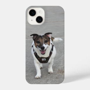 Capo von Oppenheim, Jack Russell Terrier Dog iPhone 14 Case