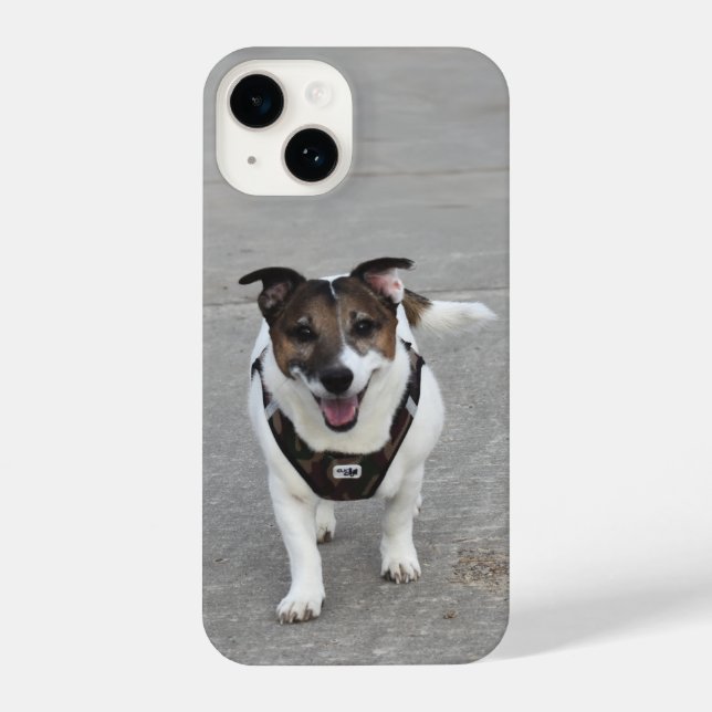 Capo von Oppenheim, Jack Russell Terrier Dog iPhone Case (Back)