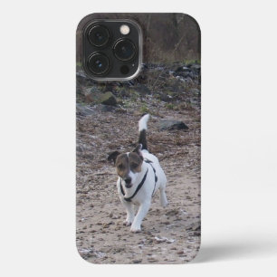 Capo von Oppenheim, Jack Russell Terrier Dog iPhone 13 Pro Max Case