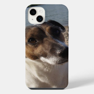 Capo von Oppenheim Jack Russell Terrier, Dog iPhone 14 Plus Case