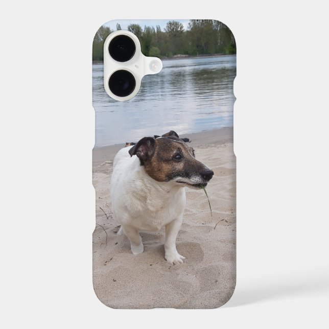 Capo von Oppenheim, Jack Russell Terrier Dog iPhone Case (Back)