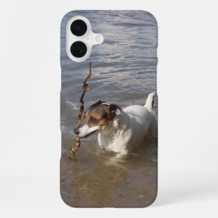 Capo von Oppenheim Jack Russell Terrier, Dog iPhone 16 Plus Case
