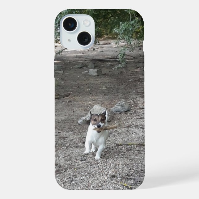 Capo von Oppenheim, Jack Russell Terrier Dog iPhone Case (Back)
