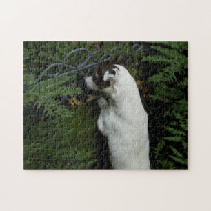 Capo von Oppenheim, Jack Russell Terrier Dog Jigsaw Puzzle