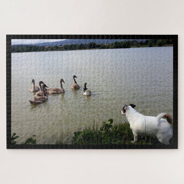 Capo von Oppenheim, Jack Russell Terrier Dog Jigsaw Puzzle (Horizontal)