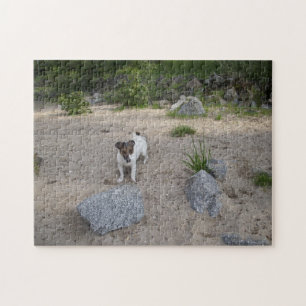 Capo von Oppenheim, Jack Russell Terrier Dog Jigsaw Puzzle