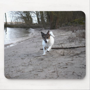 Capo von Oppenheim Jack Russell Terrier, Dog Mouse Mat