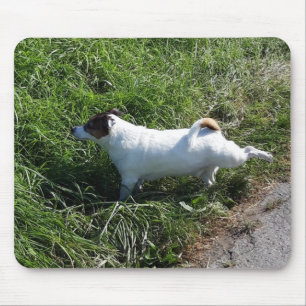 Capo von Oppenheim Jack Russell Terrier, Dog Mouse Mat