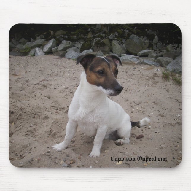 Capo von Oppenheim Jack Russell Terrier, Dog Mouse Mat (Front)
